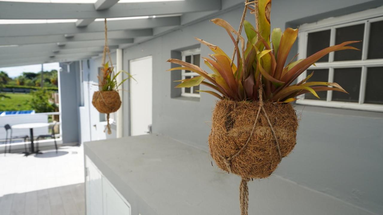 The Pelican Poshtel San Juan Ngoại thất bức ảnh
